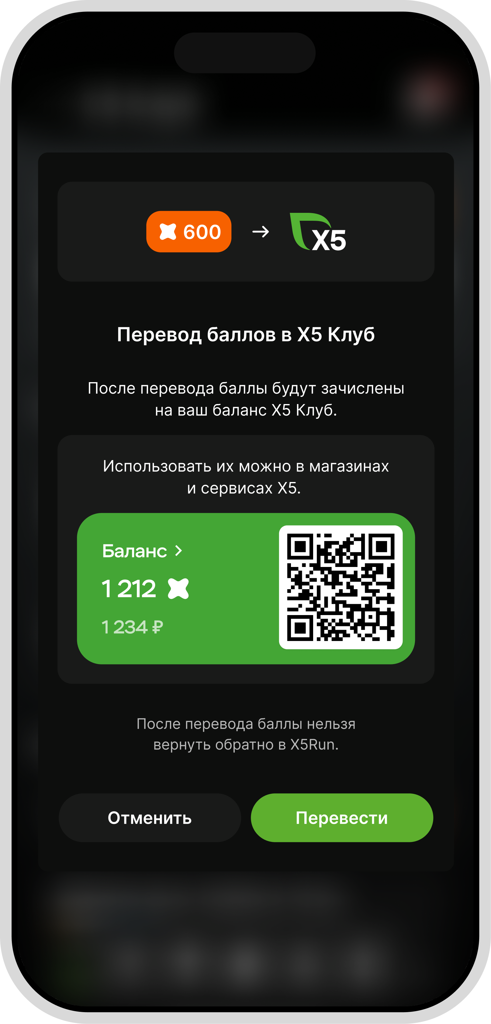 Экран телефона — иконка X5 Run